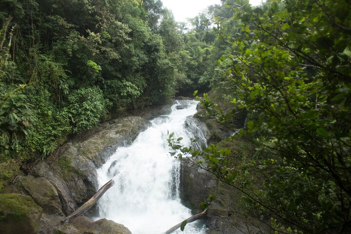 DrakeBay over night tour -RioAgujitasEcoJungle - Photo 1 of 12
